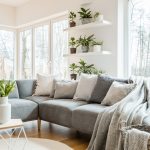 5 Sustainable Swaps to Make Your Home Eco-Friendly