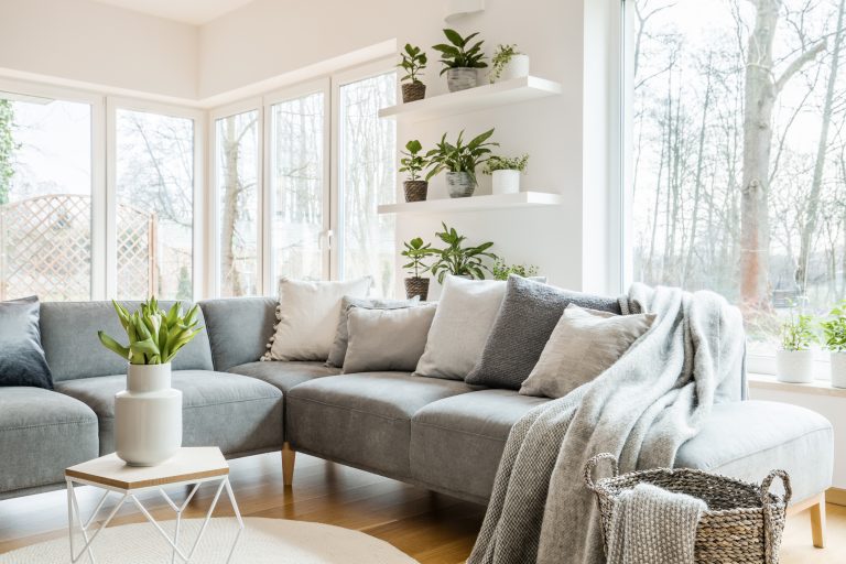 5 Sustainable Swaps to Make Your Home Eco-Friendly