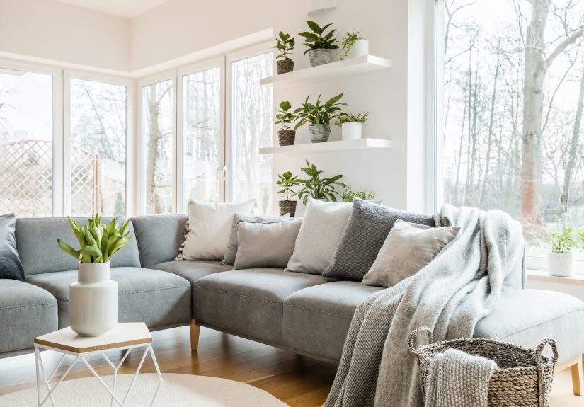 5 Sustainable Swaps to Make Your Home Eco-Friendly